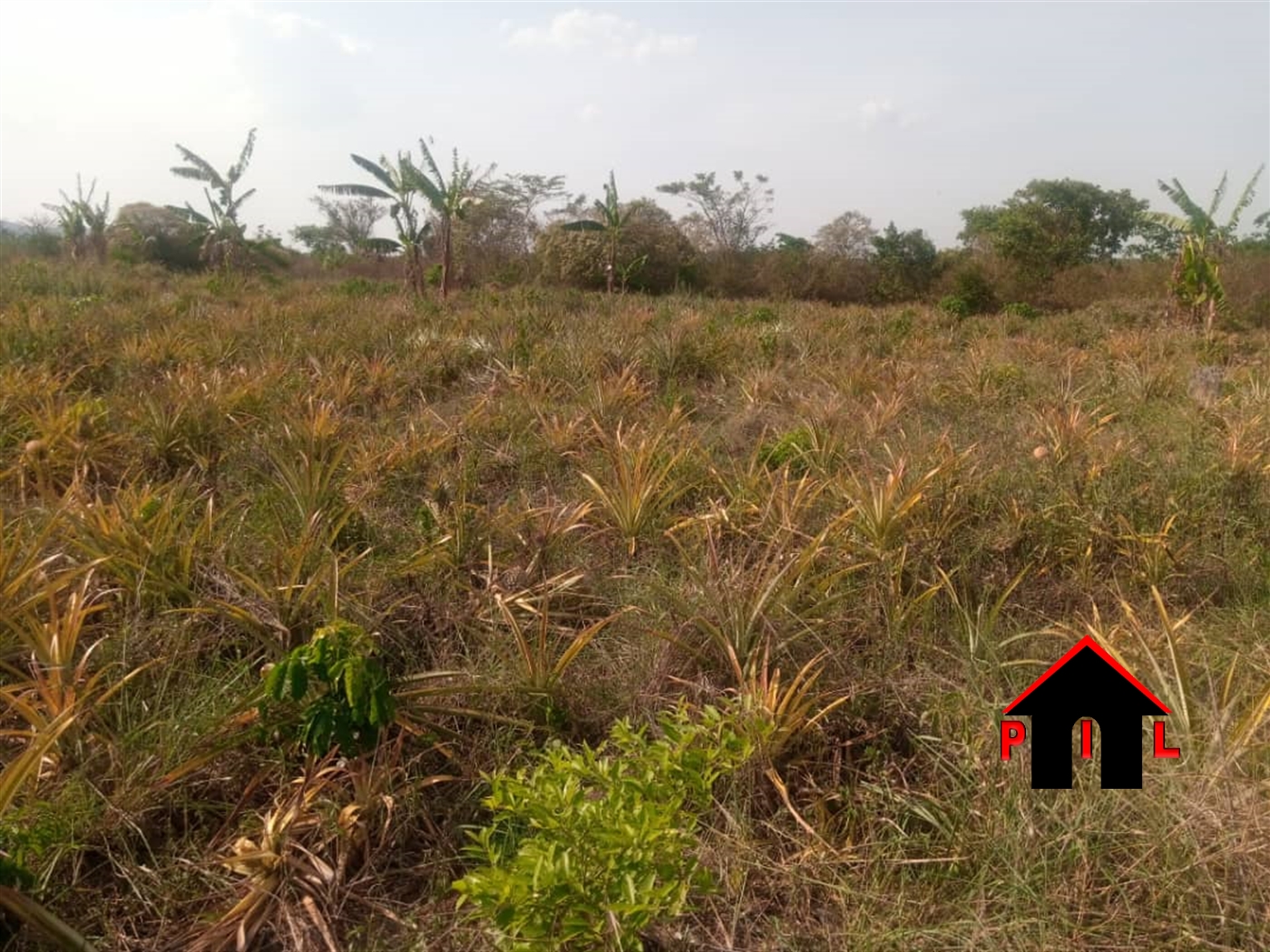 Agricultural Land for sale in Kamila Luweero