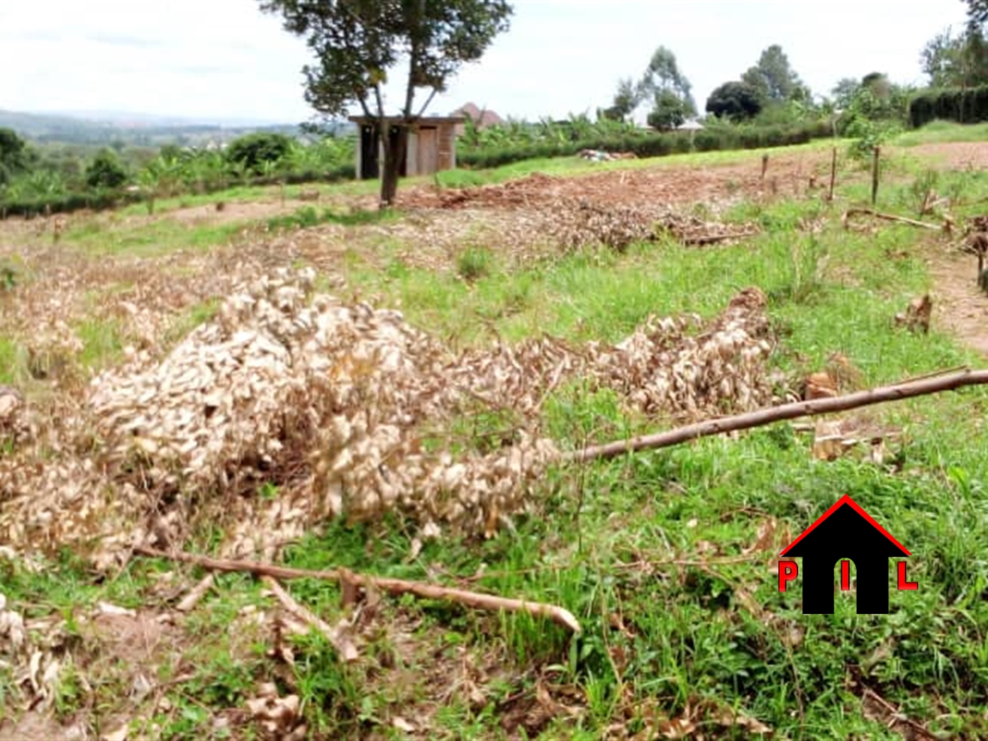 Residential Land for sale in Ruti Mbarara