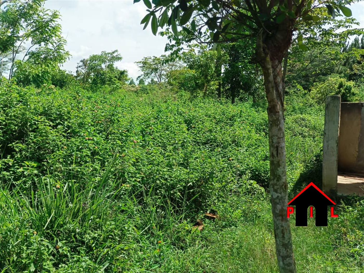 Commercial Land for sale in Ziloobwe Luweero