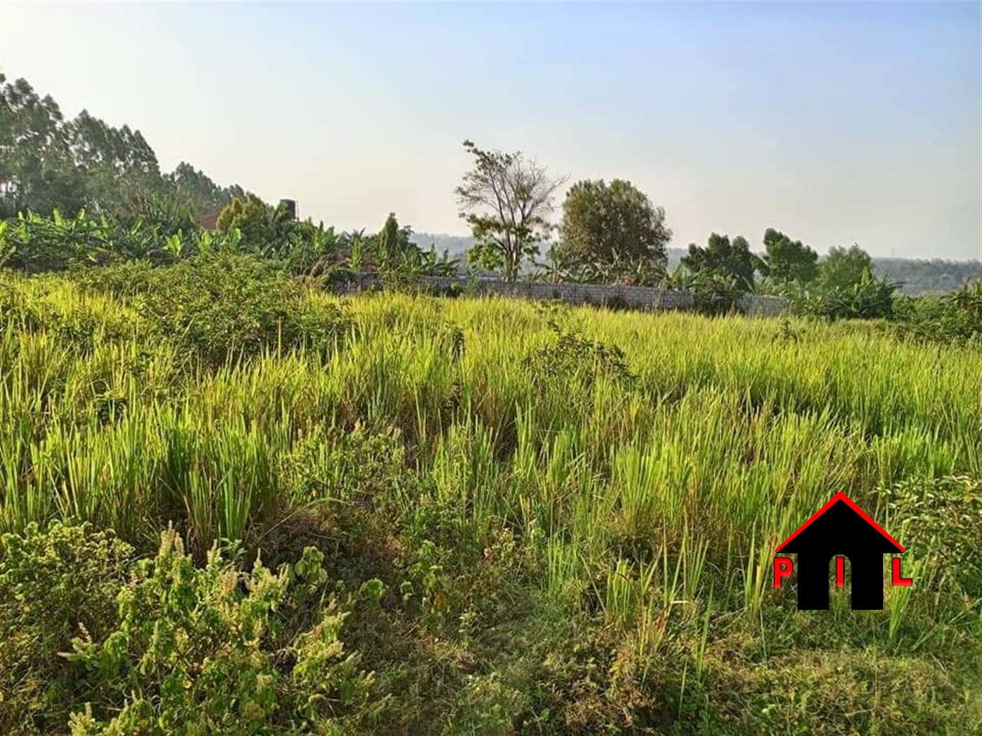 Residential Land for sale in Kitukutwe Wakiso