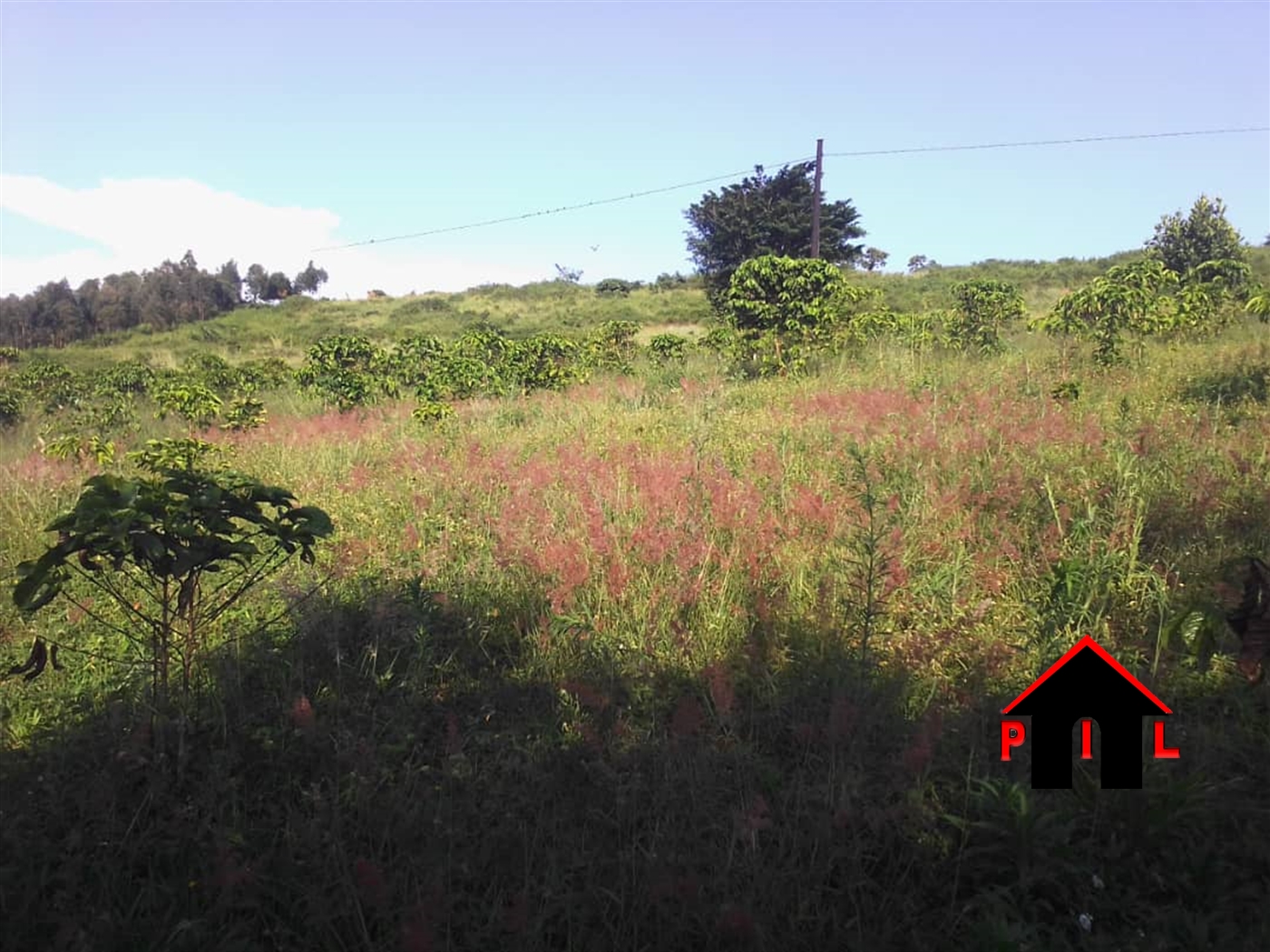 Commercial Land for sale in Kyanamukaaka Masaka