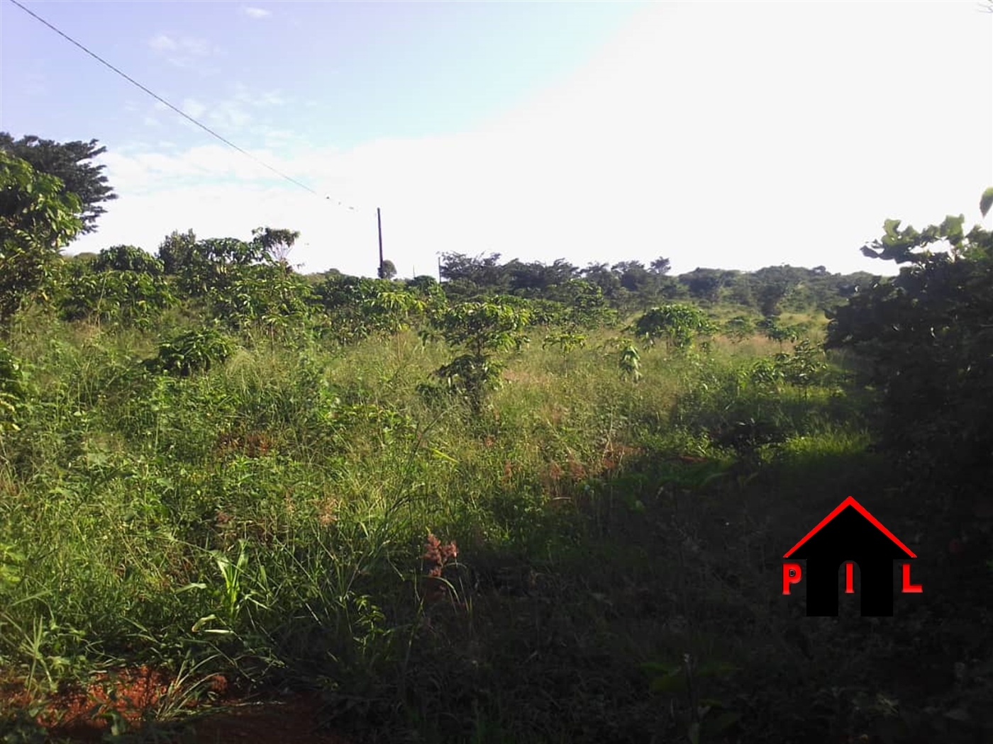 Commercial Land for sale in Kyanamukaaka Masaka