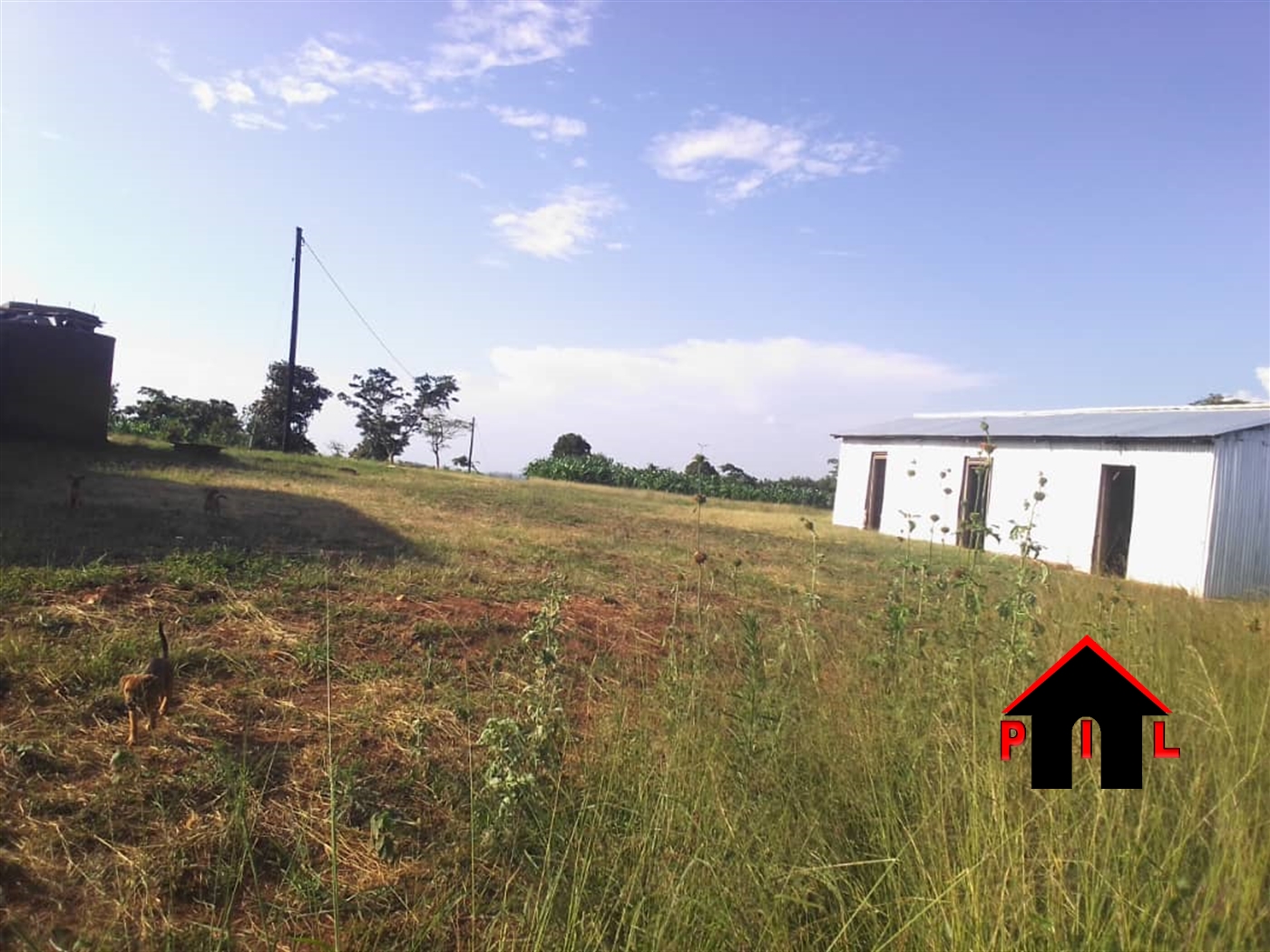 Commercial Land for sale in Kyanamukaaka Masaka