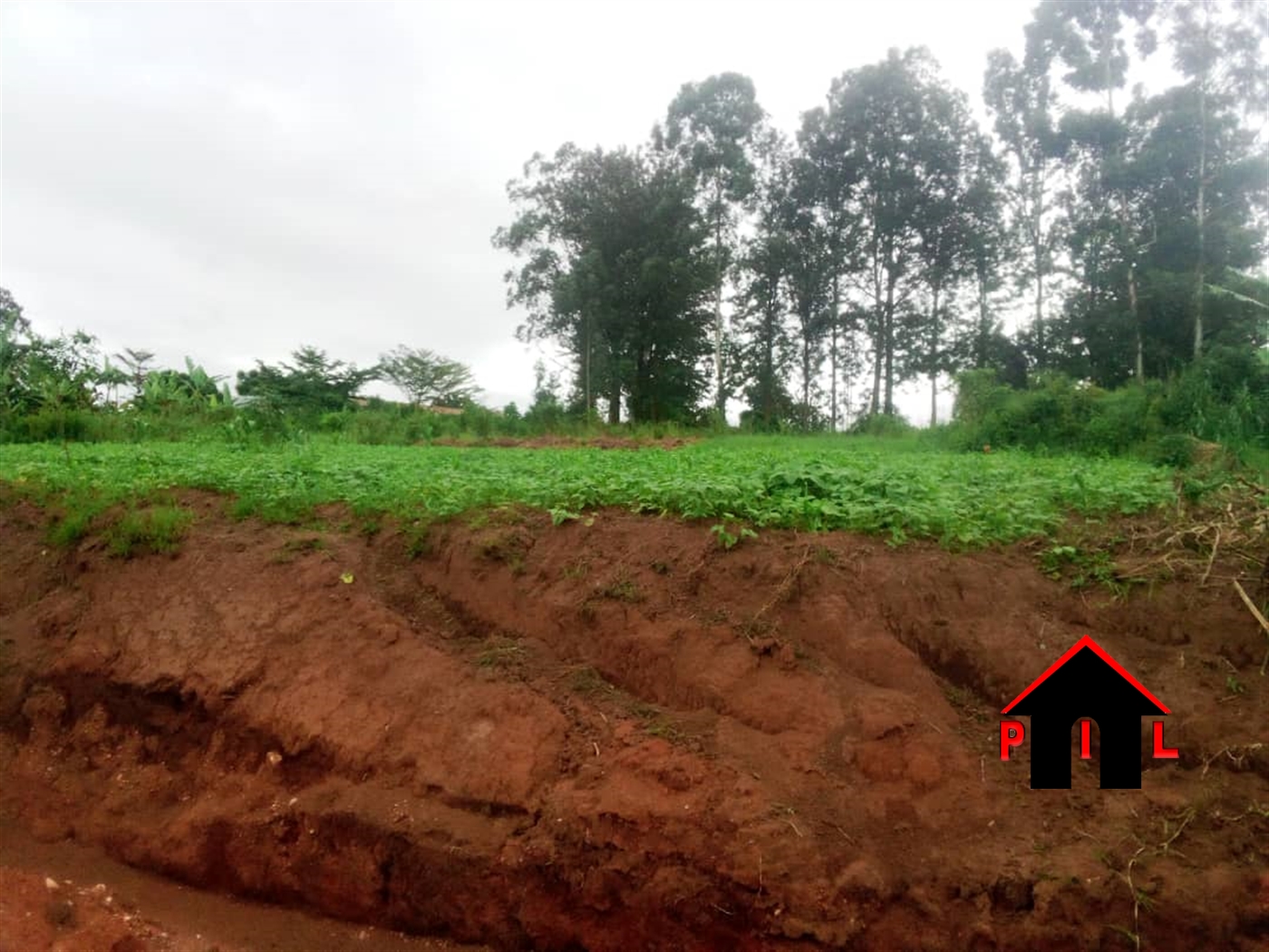 Residential Land for sale in Muko Ntungamo