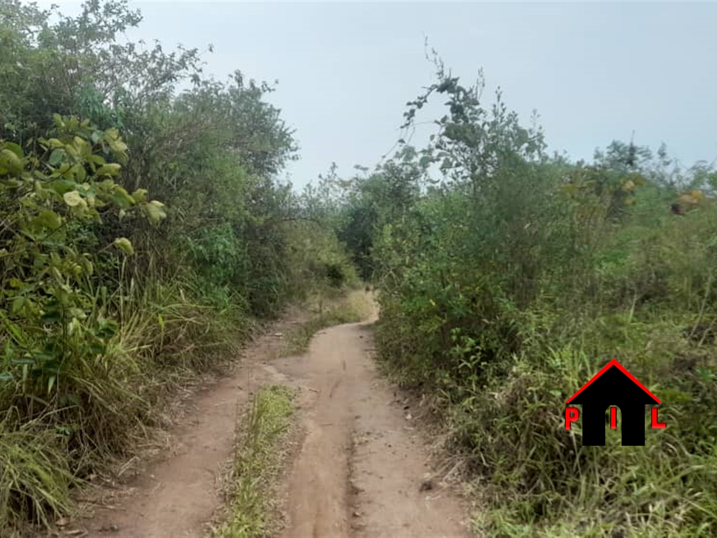 Agricultural Land for sale in Lukiizi Luweero