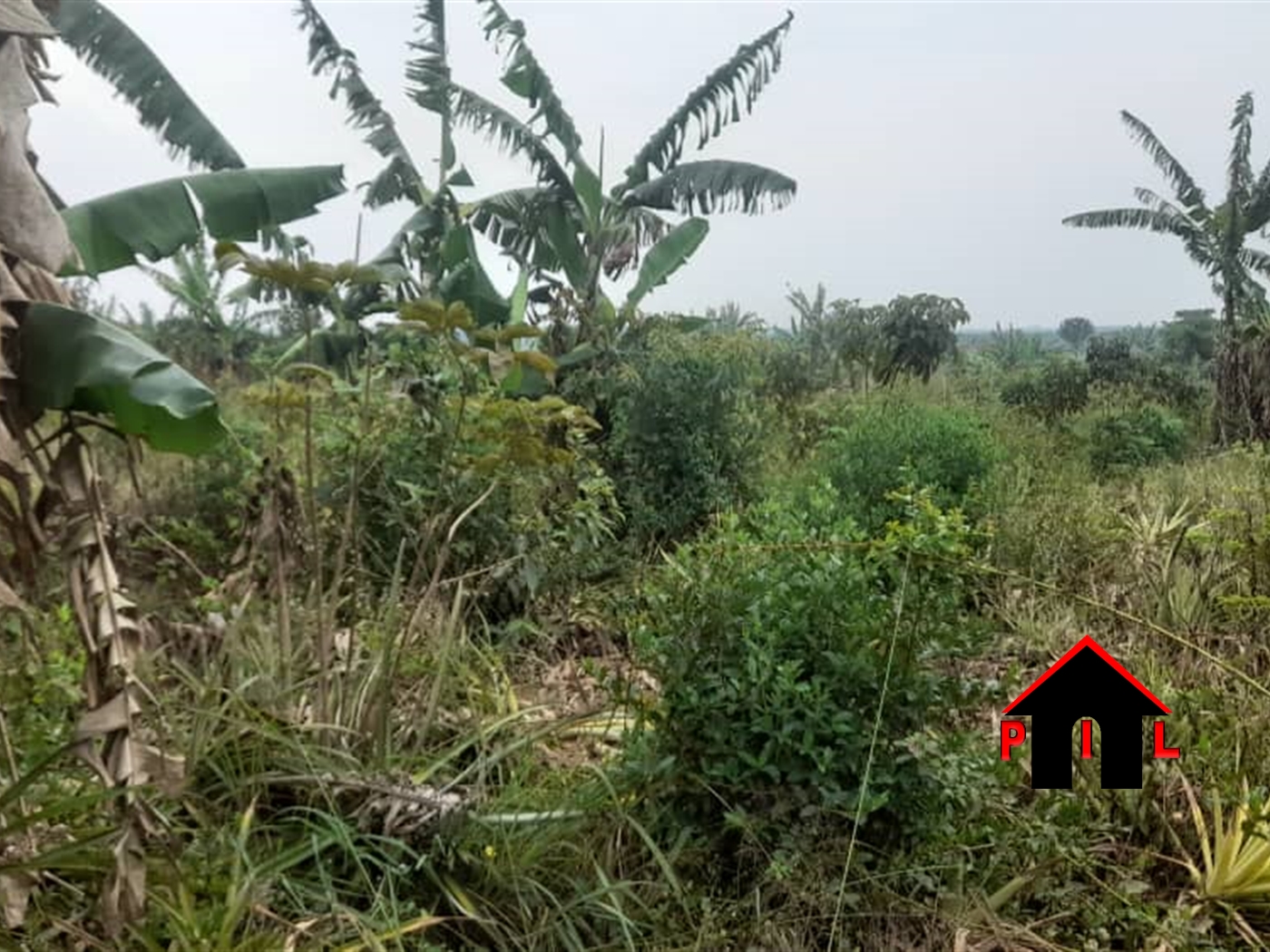 Agricultural Land for sale in Lukiizi Luweero