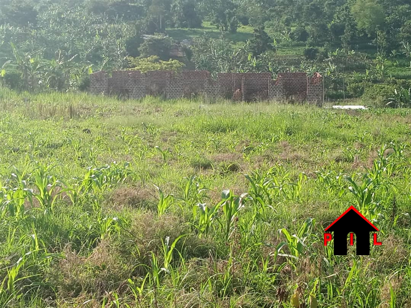 Residential Land for sale in Kavule Wakiso