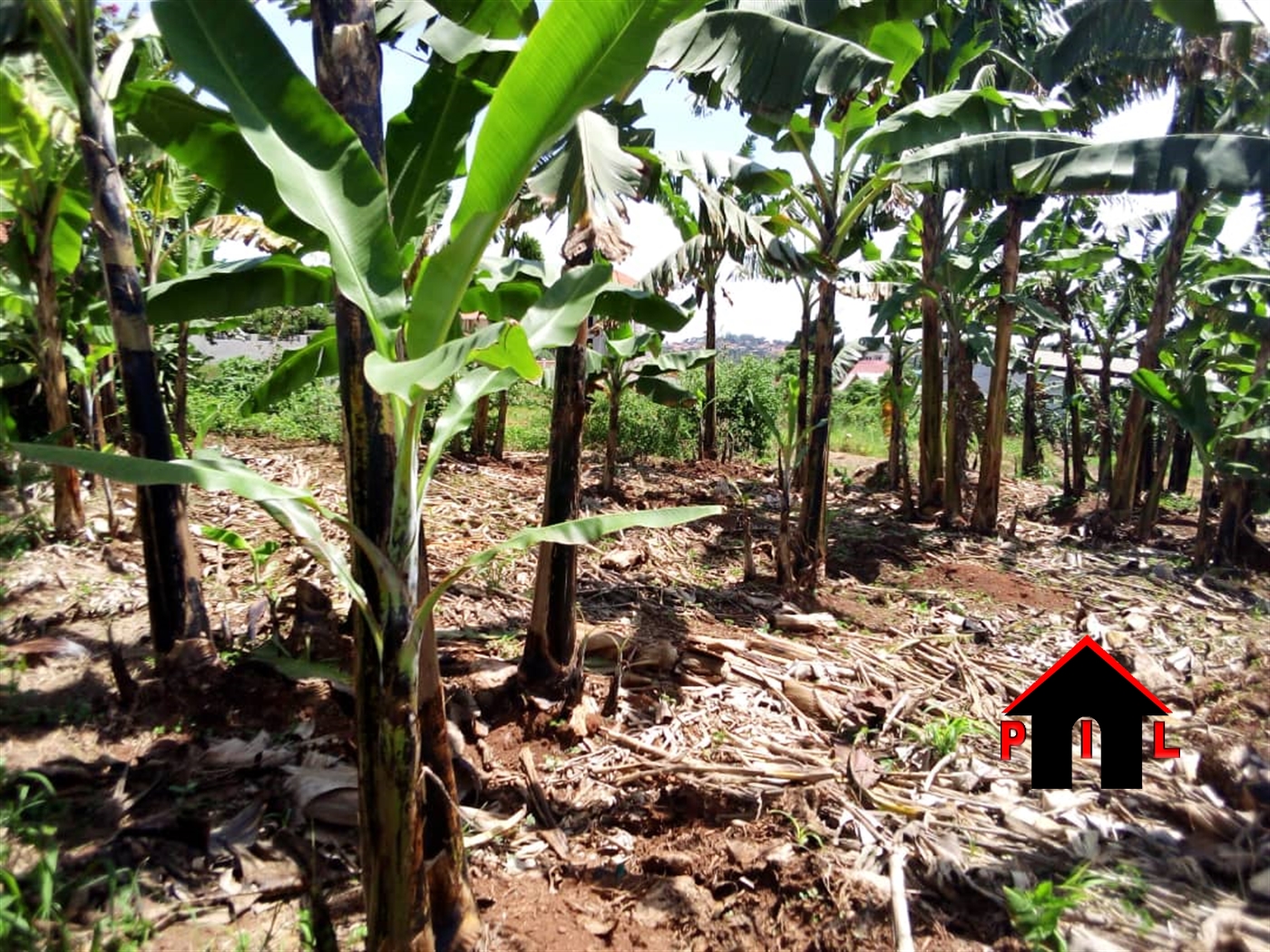 Residential Land for sale in Bweyogerere Wakiso