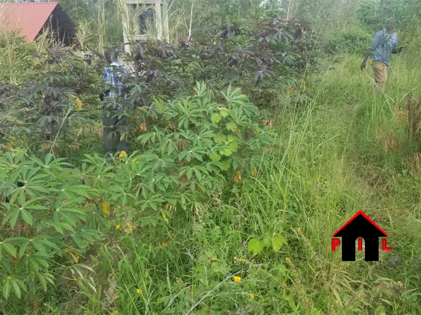 Commercial Land for sale in Busukuma Wakiso