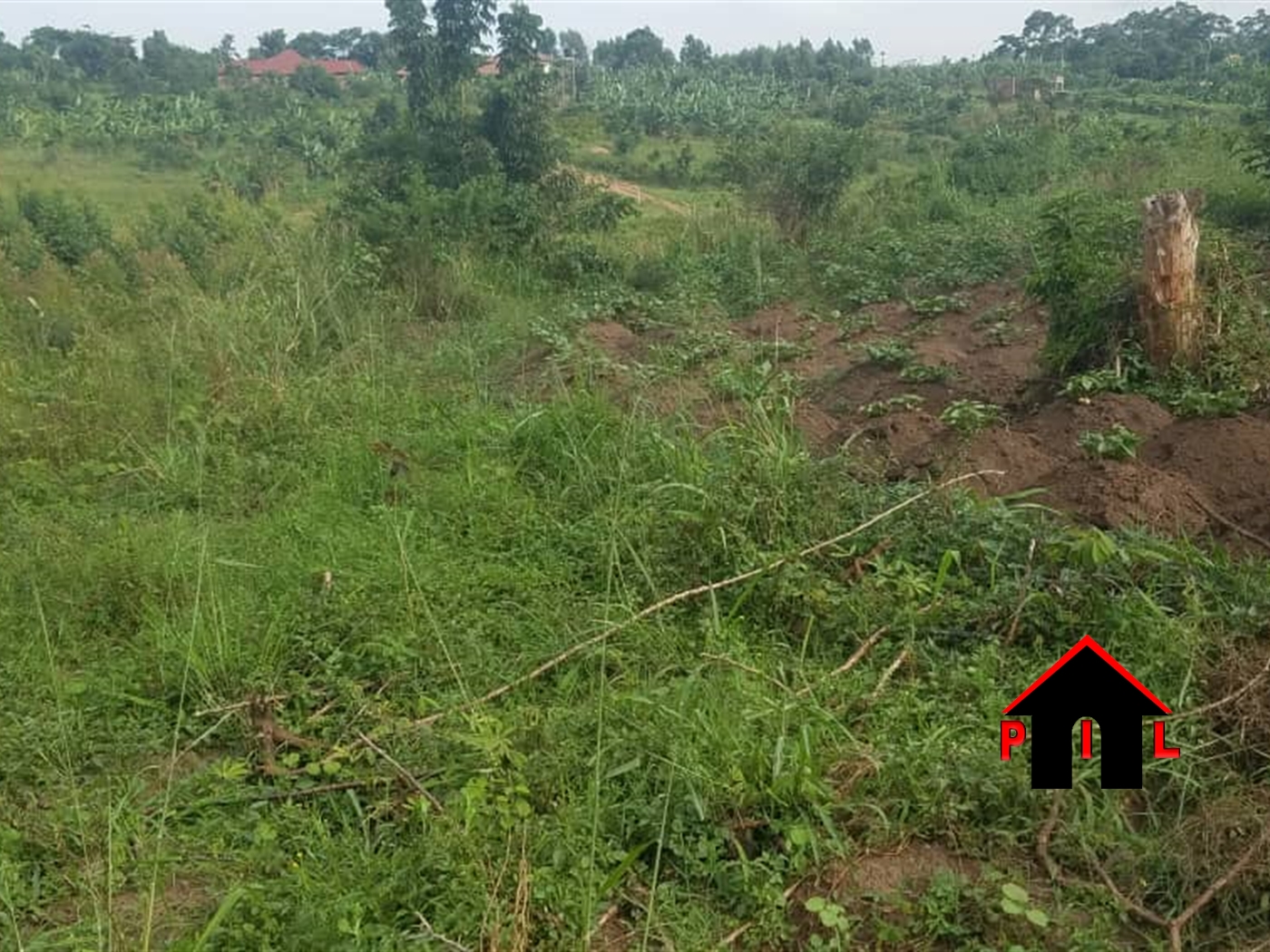 Commercial Land for sale in Busukuma Wakiso