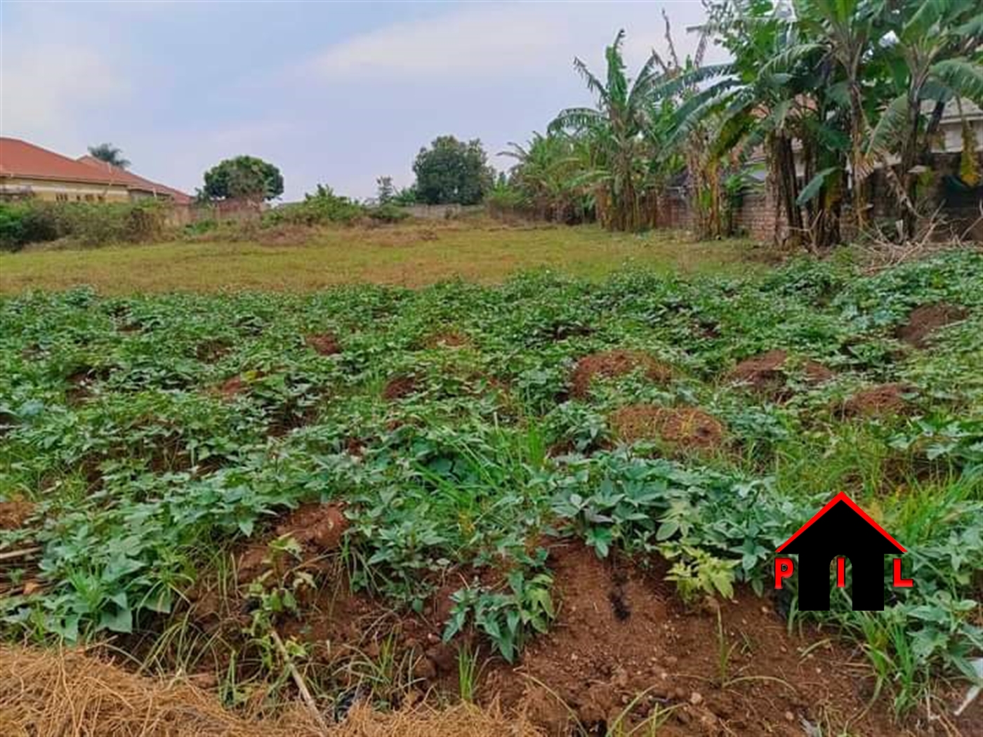 Agricultural Land for sale in Kakooge Nakasongola