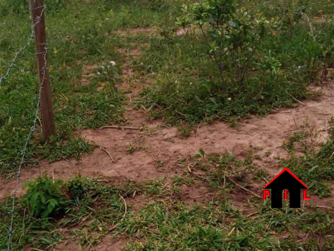 Agricultural Land for sale in Kakooge Nakasongola