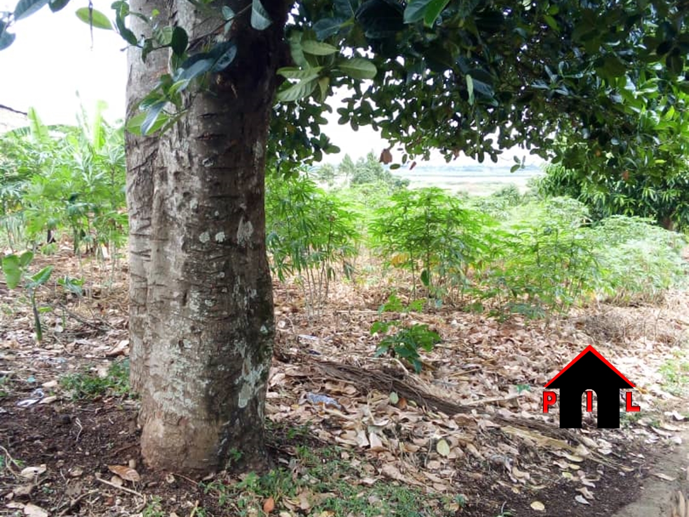 Commercial Land for sale in Bwelenga Wakiso