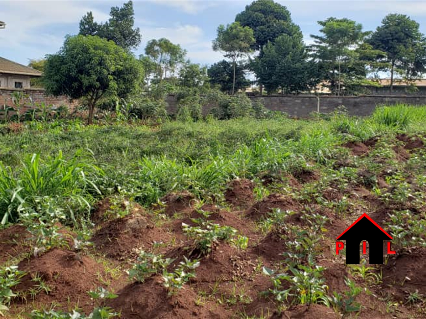 Residential Land for sale in Kasenyi Wakiso