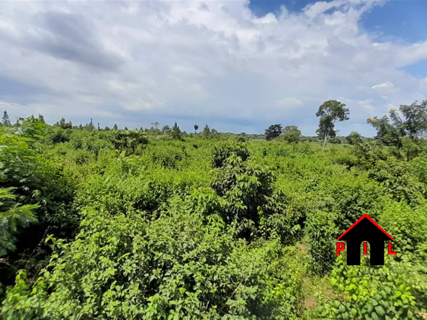 Agricultural Land for sale in Ndibulungi Luweero