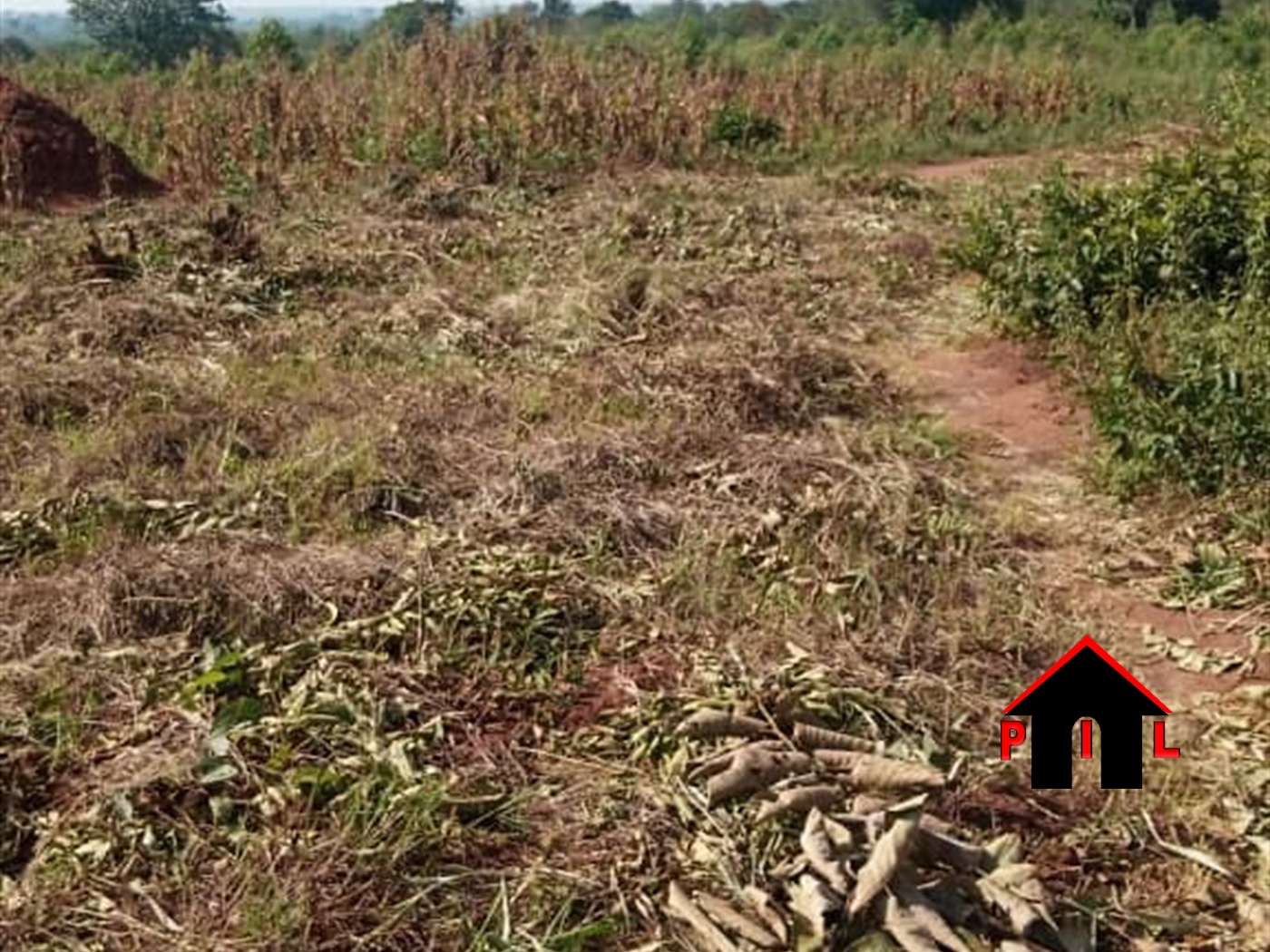 Agricultural Land for sale in Ziloobwe Luweero