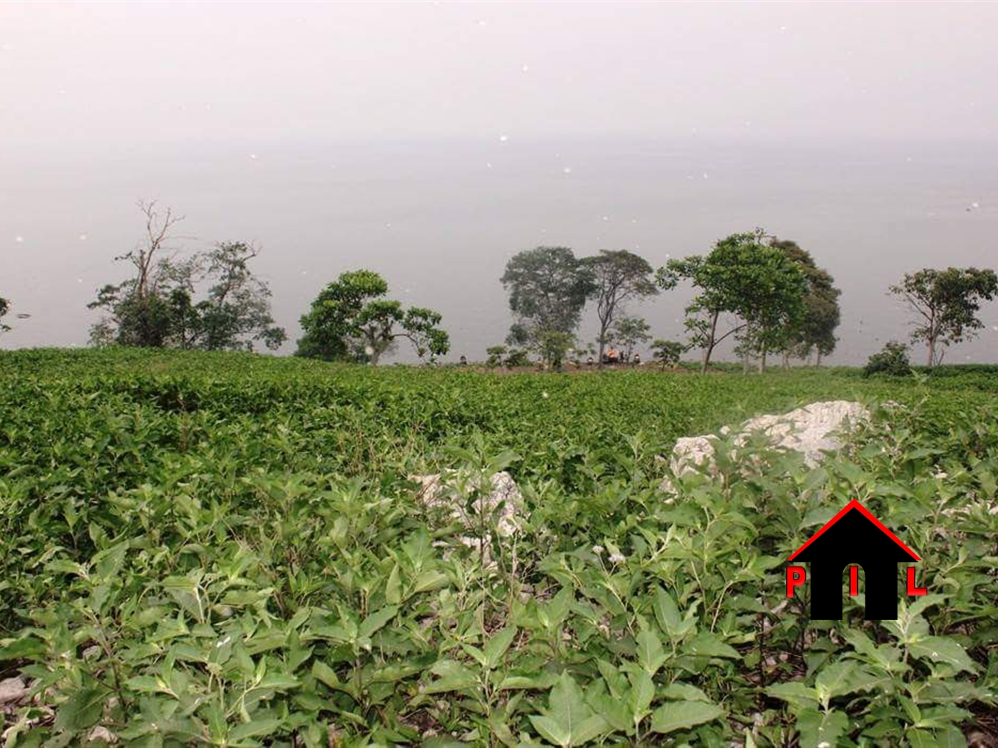 Agricultural Land for sale in Kyaggwe Mukono