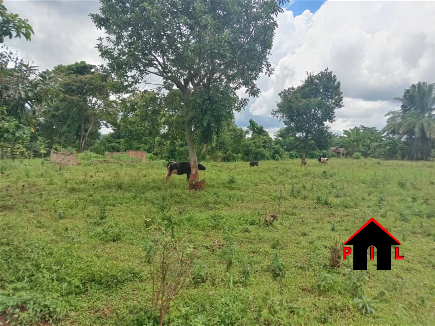 Commercial Land for sale in Nakisunga Mukono