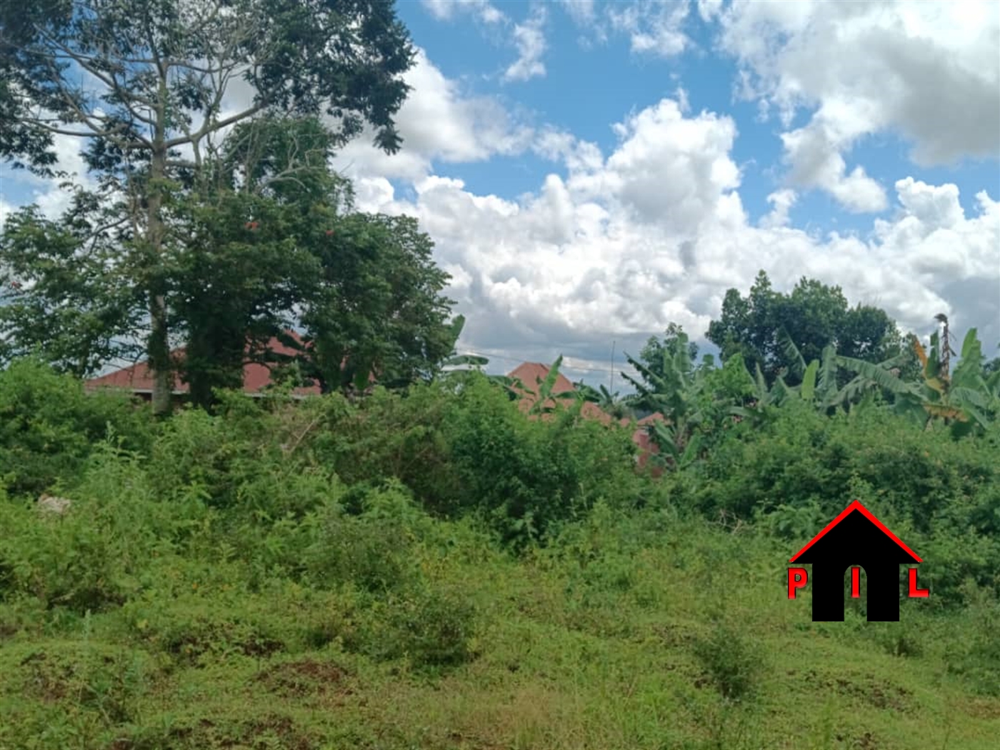 Commercial Land for sale in Nakisunga Mukono