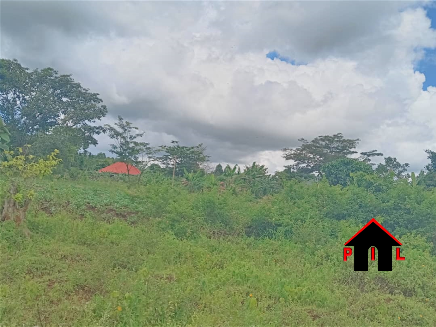 Commercial Land for sale in Nakisunga Mukono