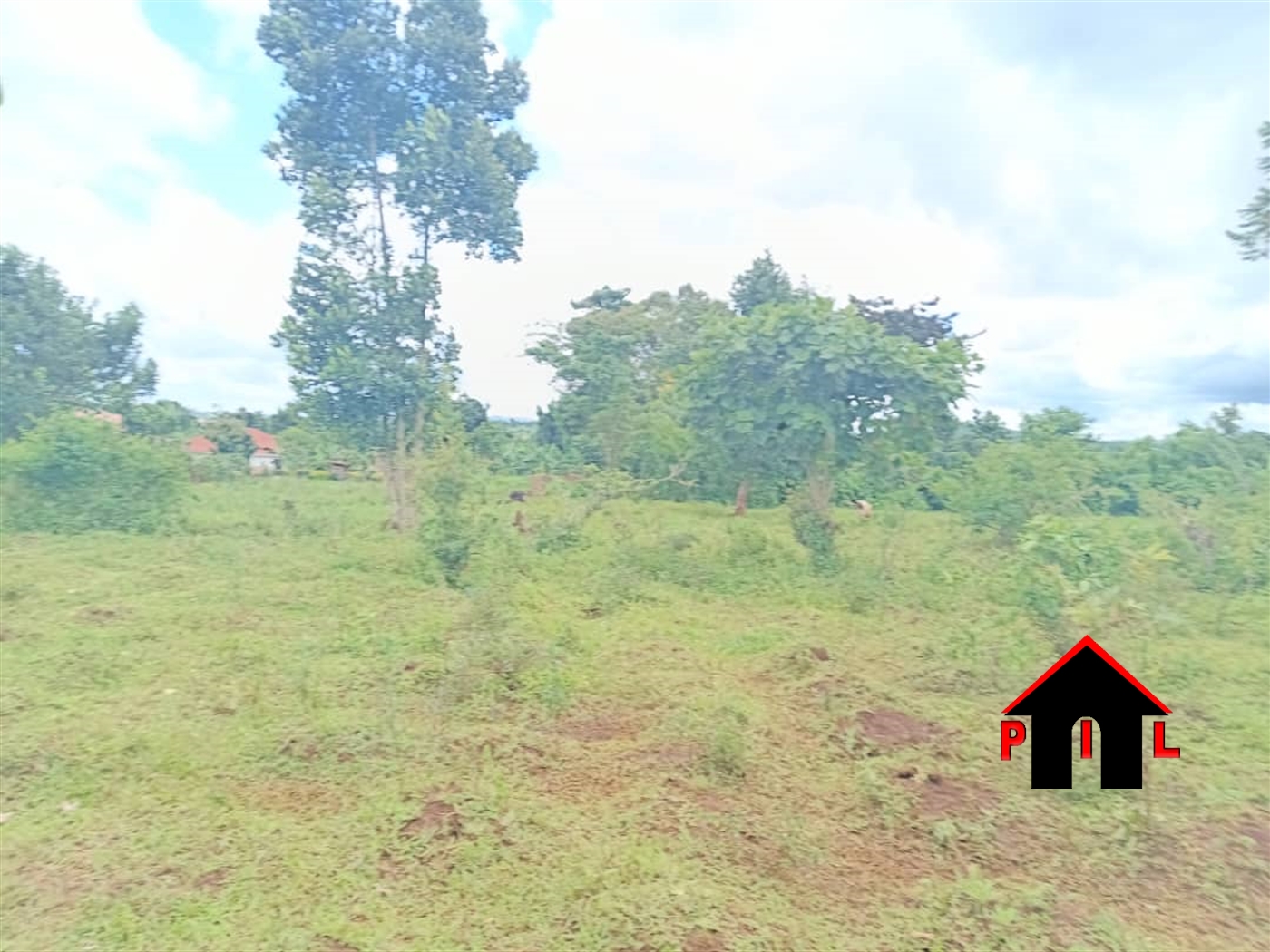 Commercial Land for sale in Nakisunga Mukono