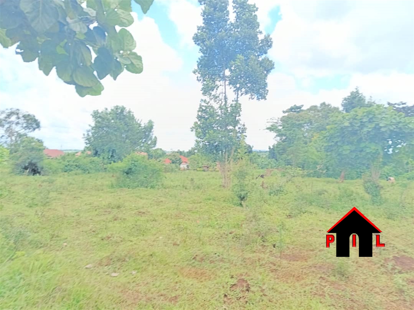 Commercial Land for sale in Nakisunga Mukono