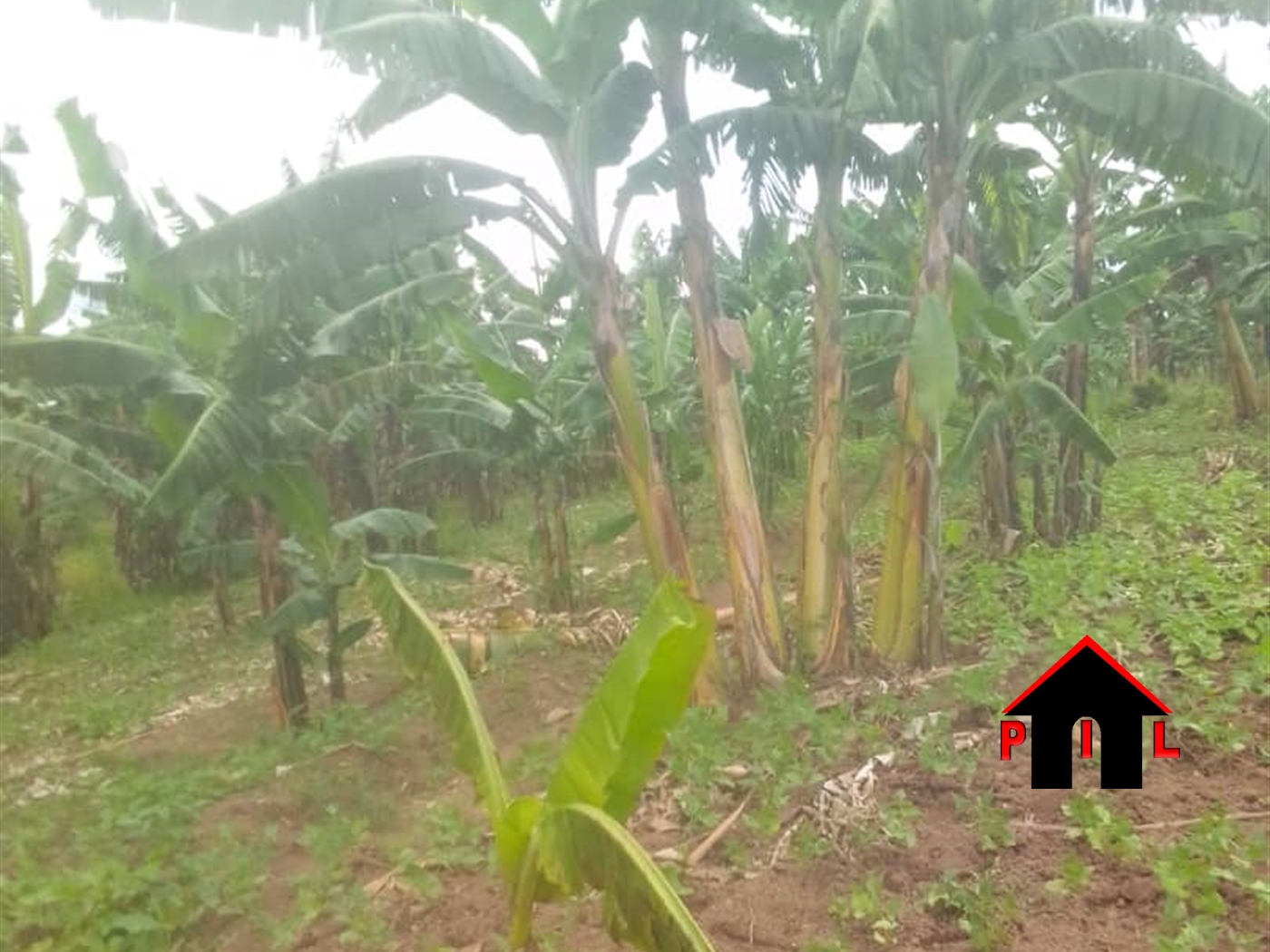 Residential Land for sale in Gayaza Wakiso