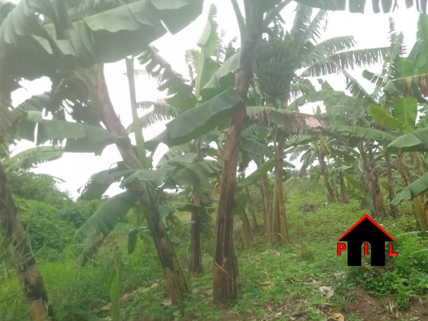 Residential Land for sale in Gayaza Wakiso