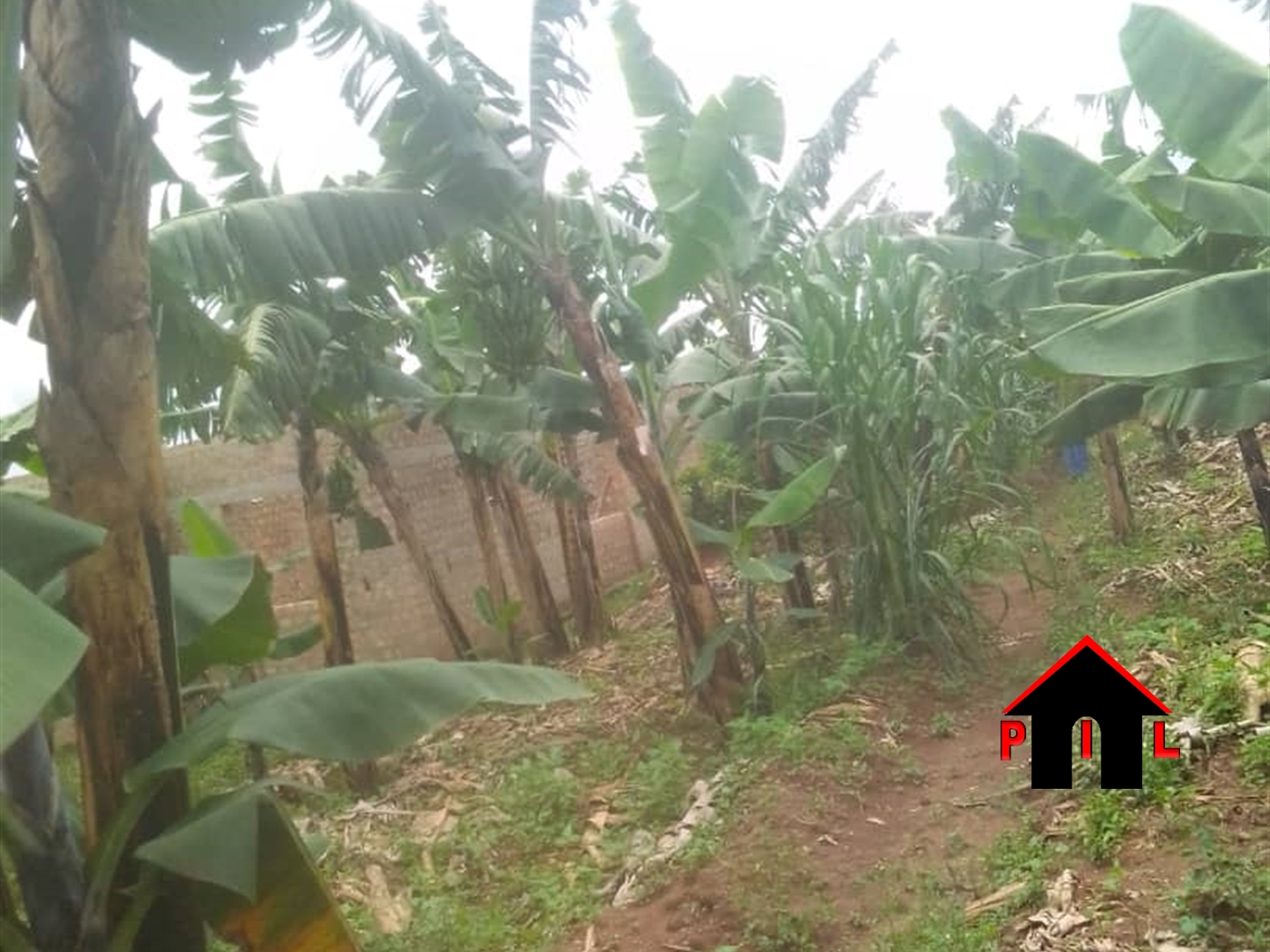 Residential Land for sale in Gayaza Wakiso