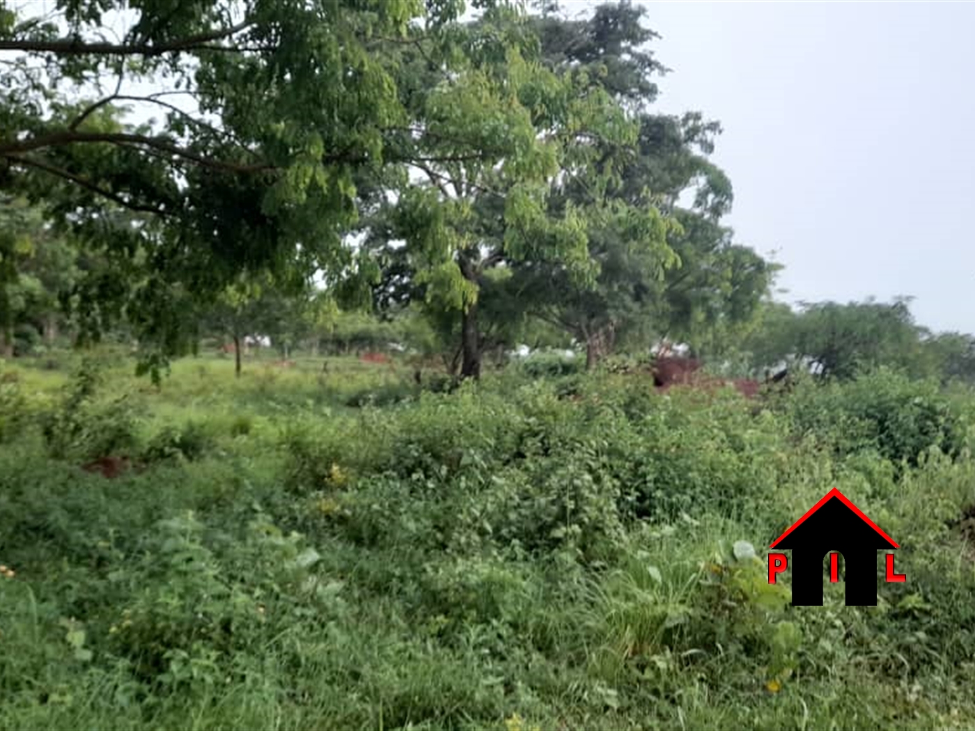 Agricultural Land for sale in Ndibulungi Luweero