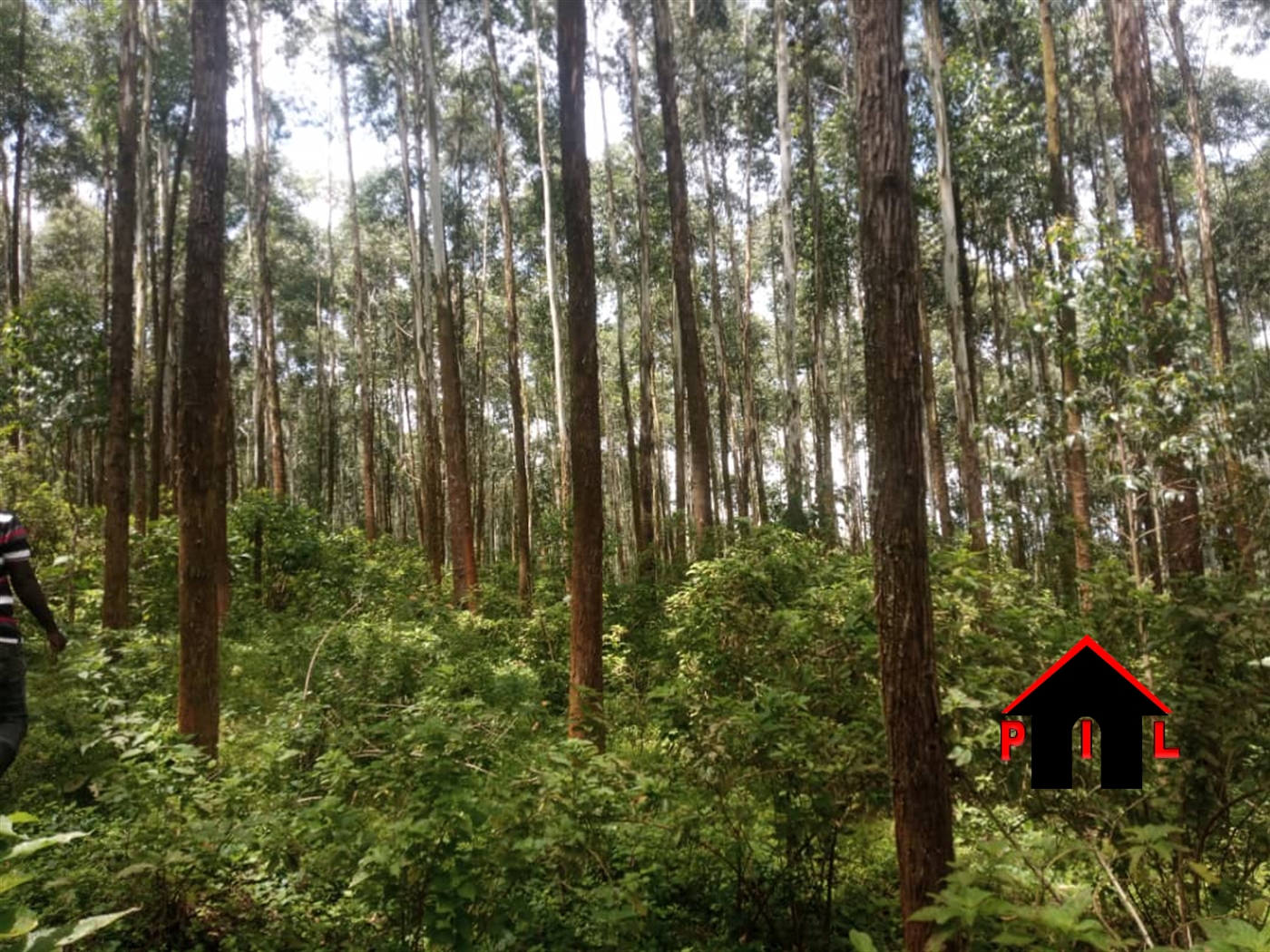 Agricultural Land for sale in Rwaihamba Kabarole