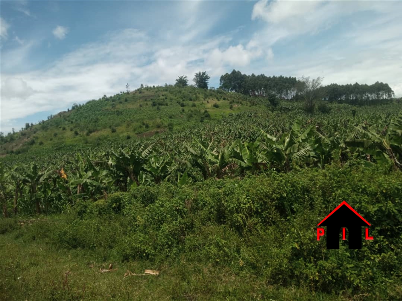 Agricultural Land for sale in Rwaihamba Kabarole