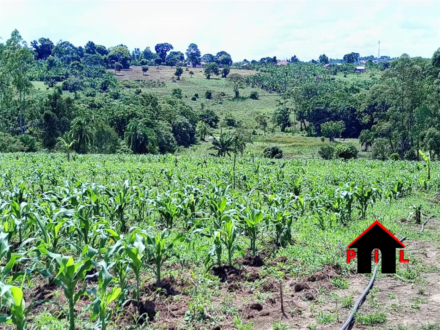 Residential Land for sale in Matugga Wakiso