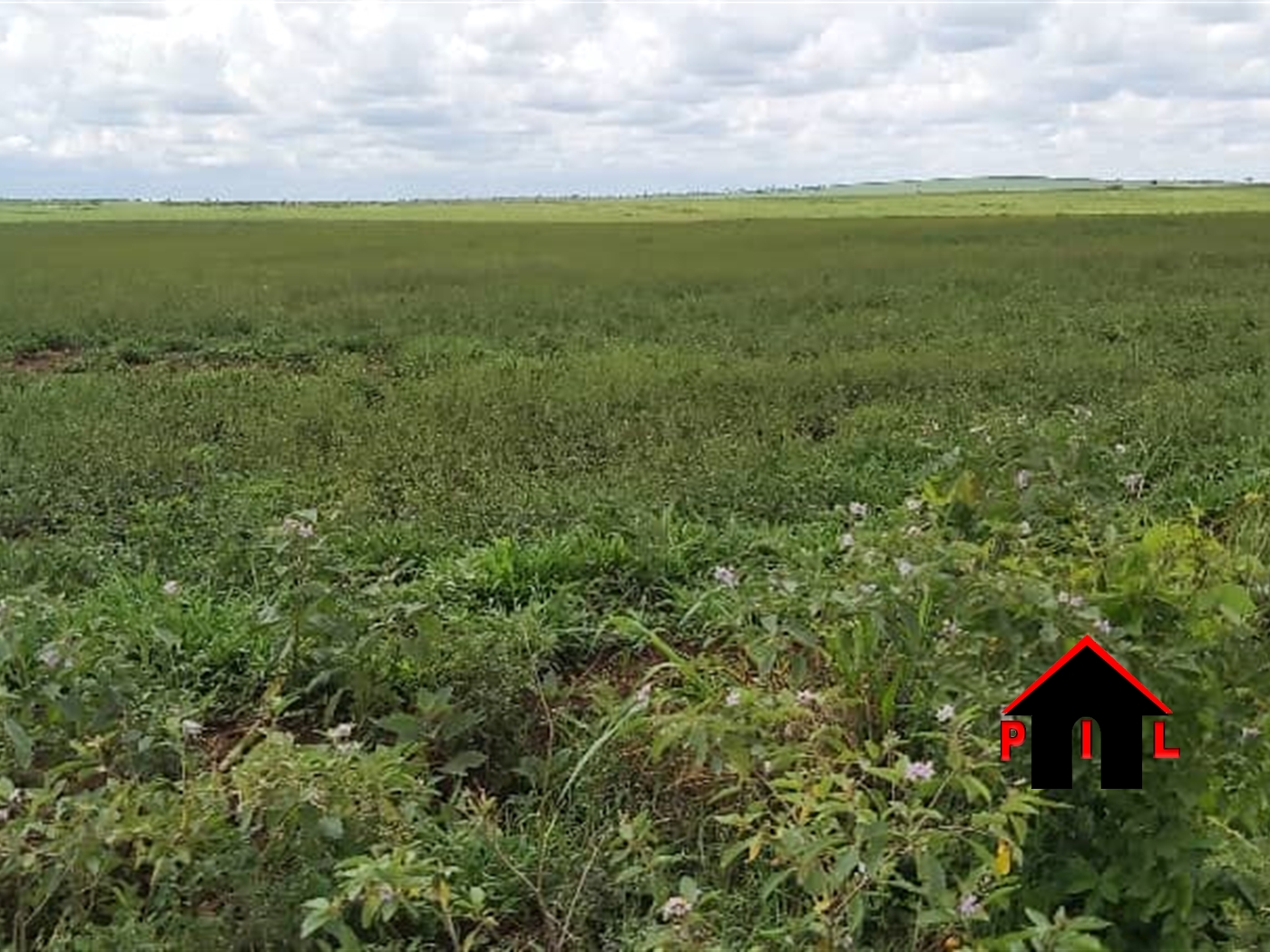 Agricultural Land for sale in Kabonyi Kiryandongo