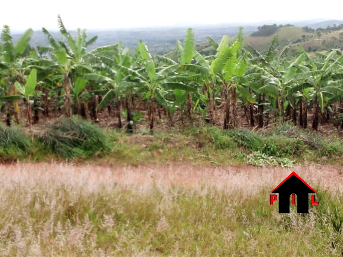 Residential Land for sale in Katamba Mbarara