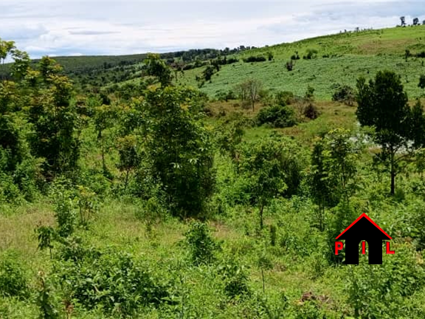 Agricultural Land for sale in Kyenda Mubende