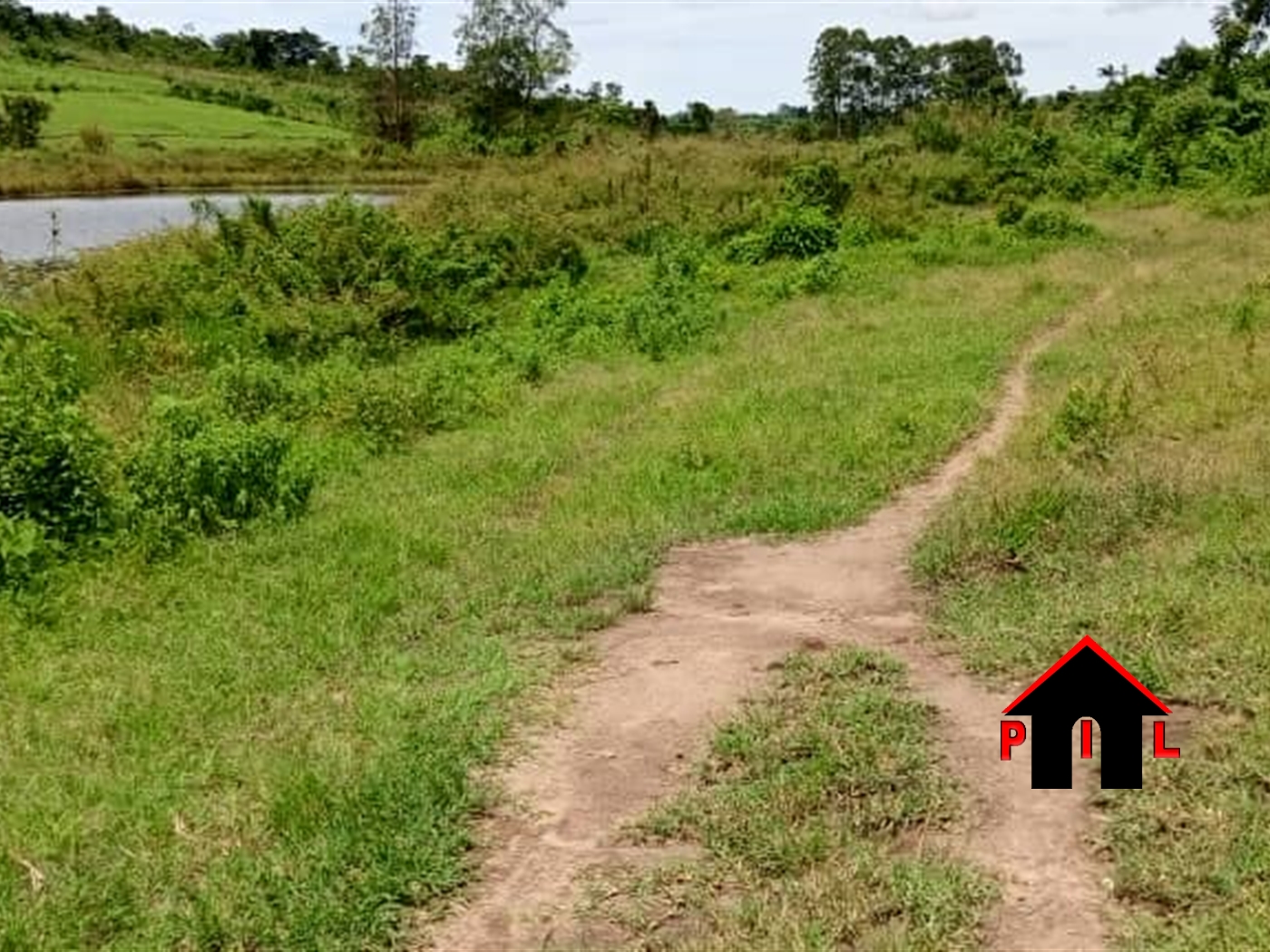 Agricultural Land for sale in Kyenda Mubende