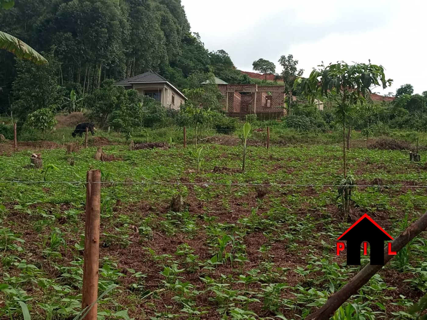 Residential Land for sale in Koona Wakiso