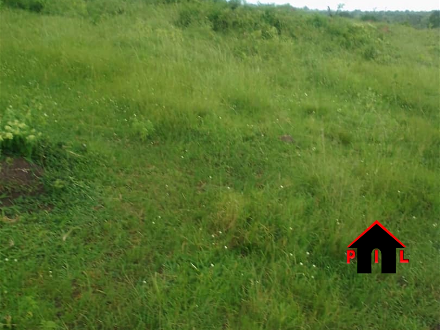 Residential Land for sale in Lugo Wakiso