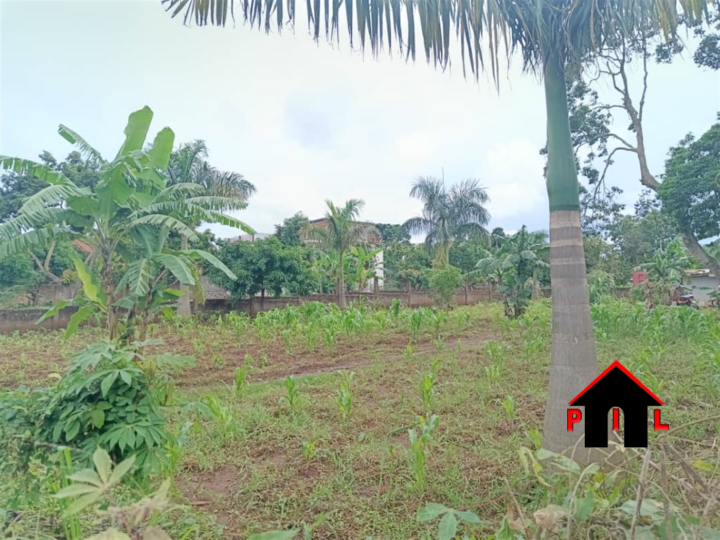 Residential Land for sale in Bbunga Kampala