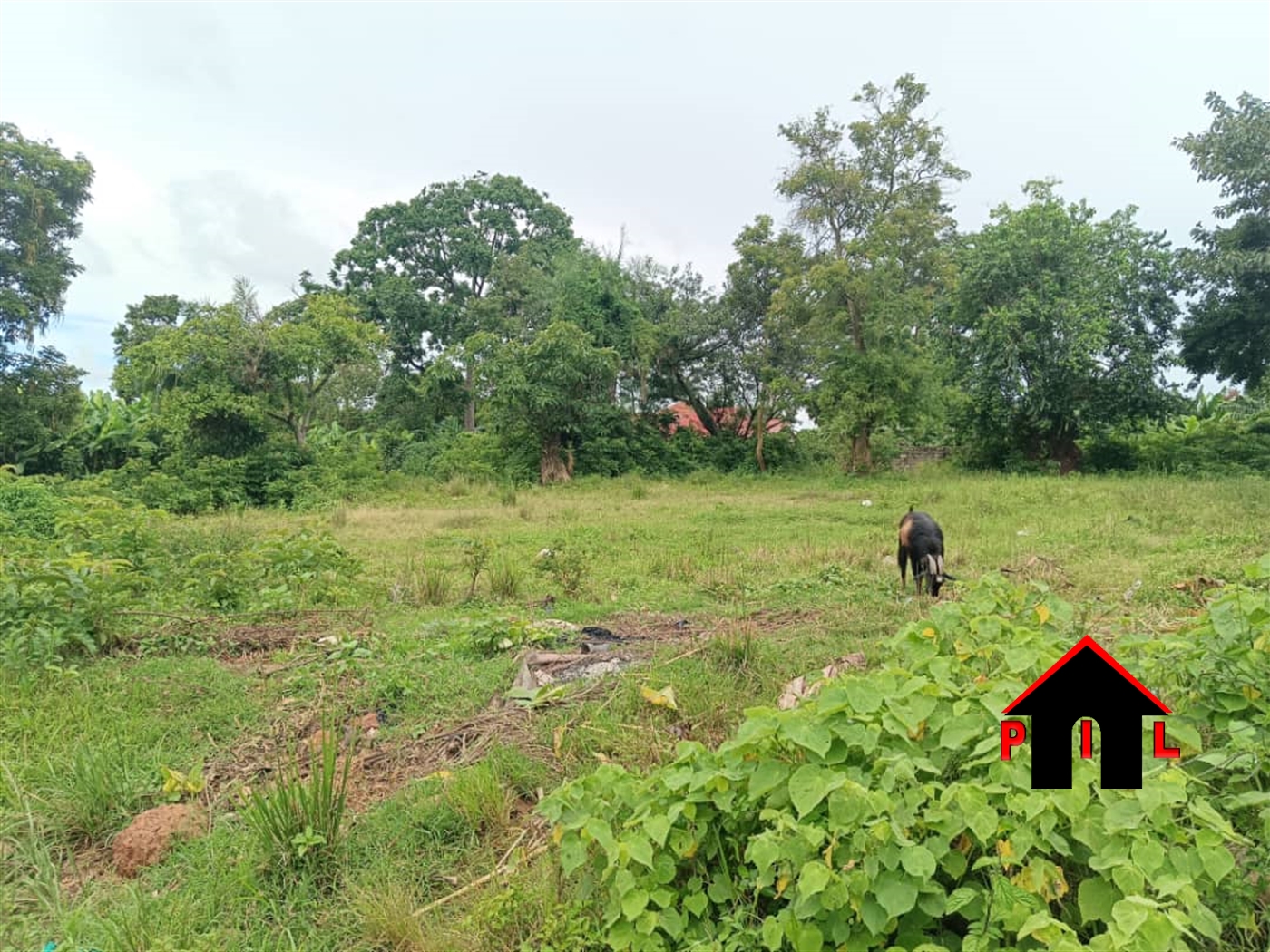 Commercial Land for sale in Bbunga Kampala