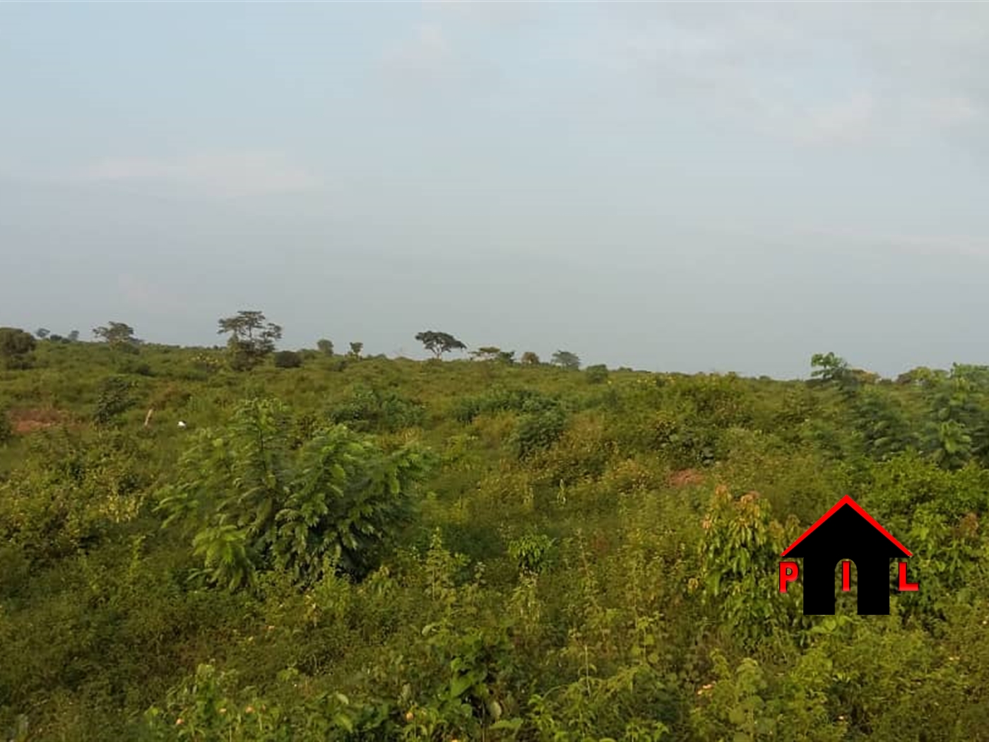 Agricultural Land for sale in Bukaana Sembabule