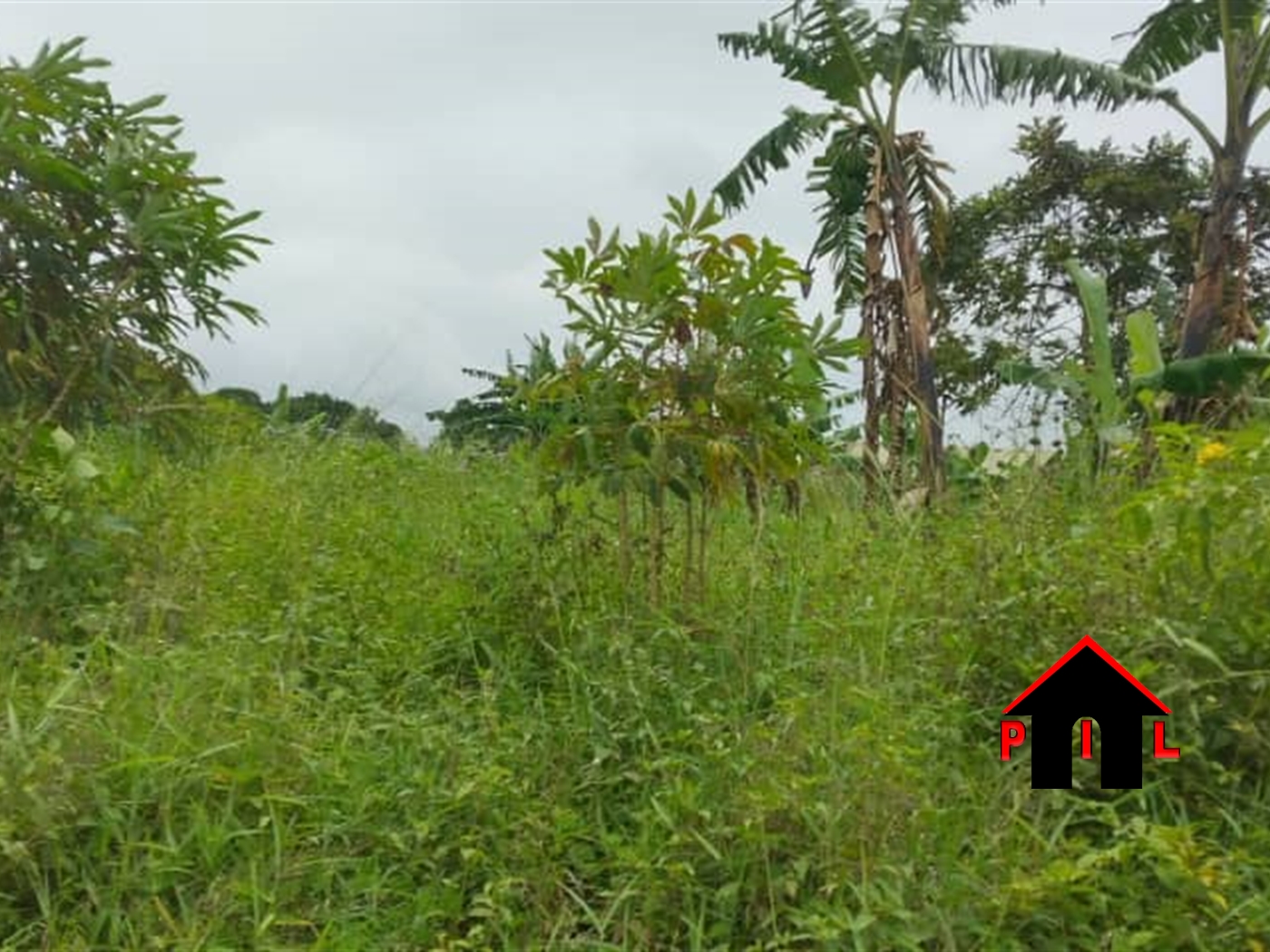 Residential Land for sale in Bajjo Mukono