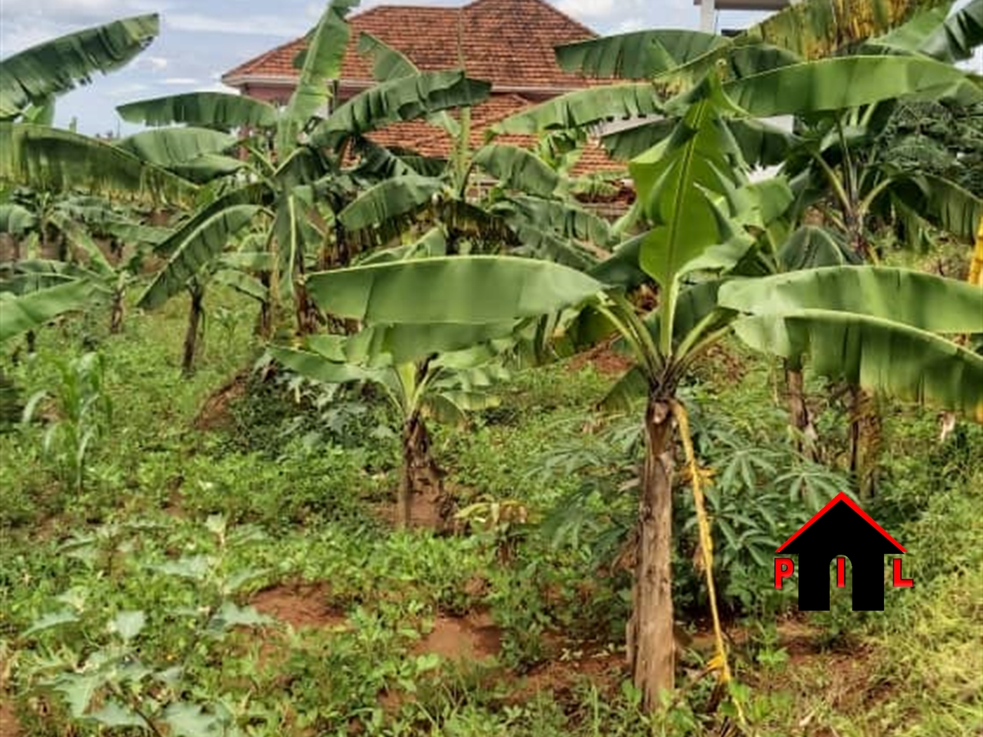 Residential Land for sale in Seguku Wakiso