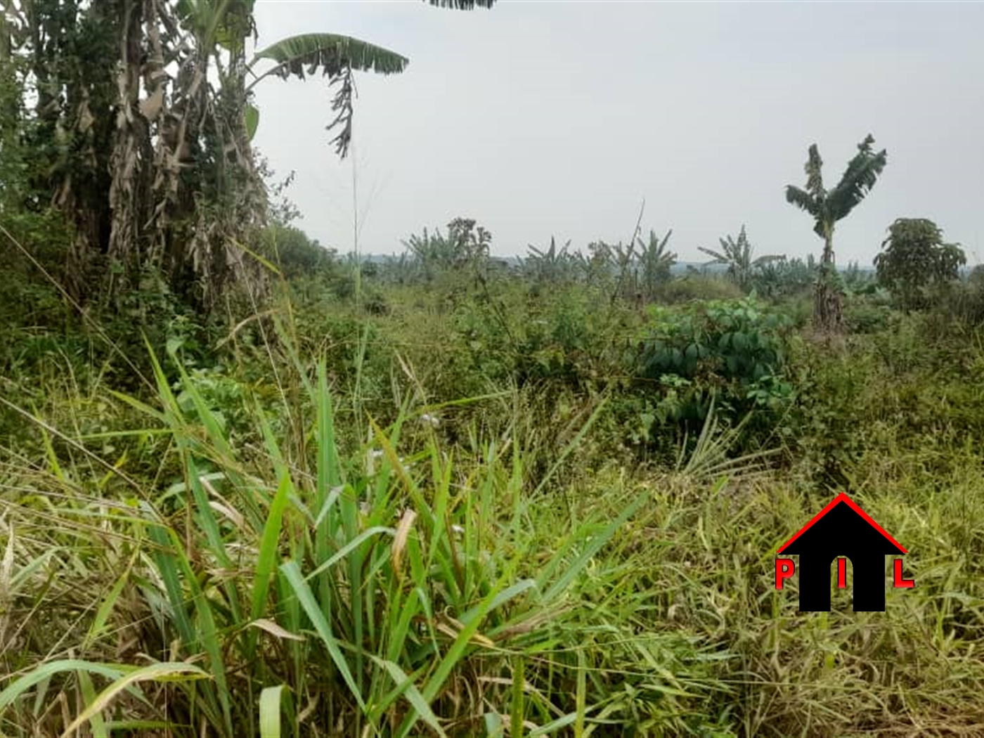 Agricultural Land for sale in Lukiizi Luweero