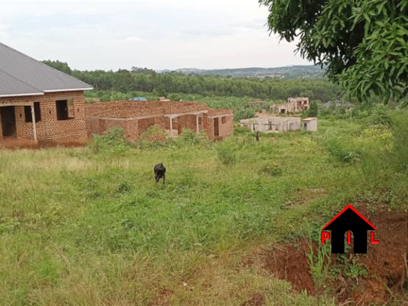 Residential Land for sale in Busukuma Wakiso