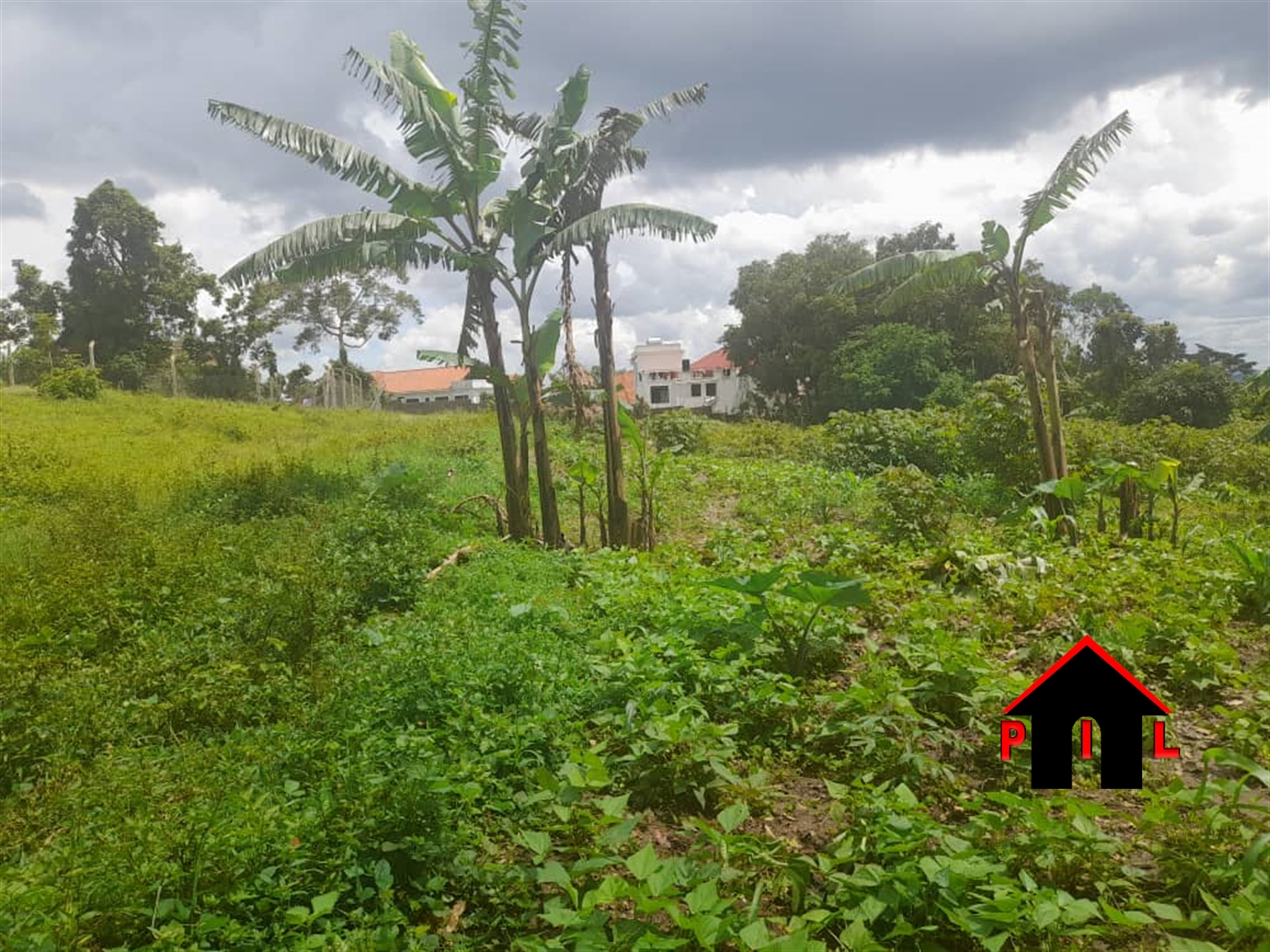 Residential Land for sale in Nsasa Wakiso