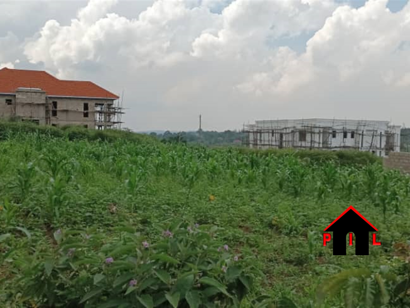 Residential Land for sale in Busukuma Wakiso