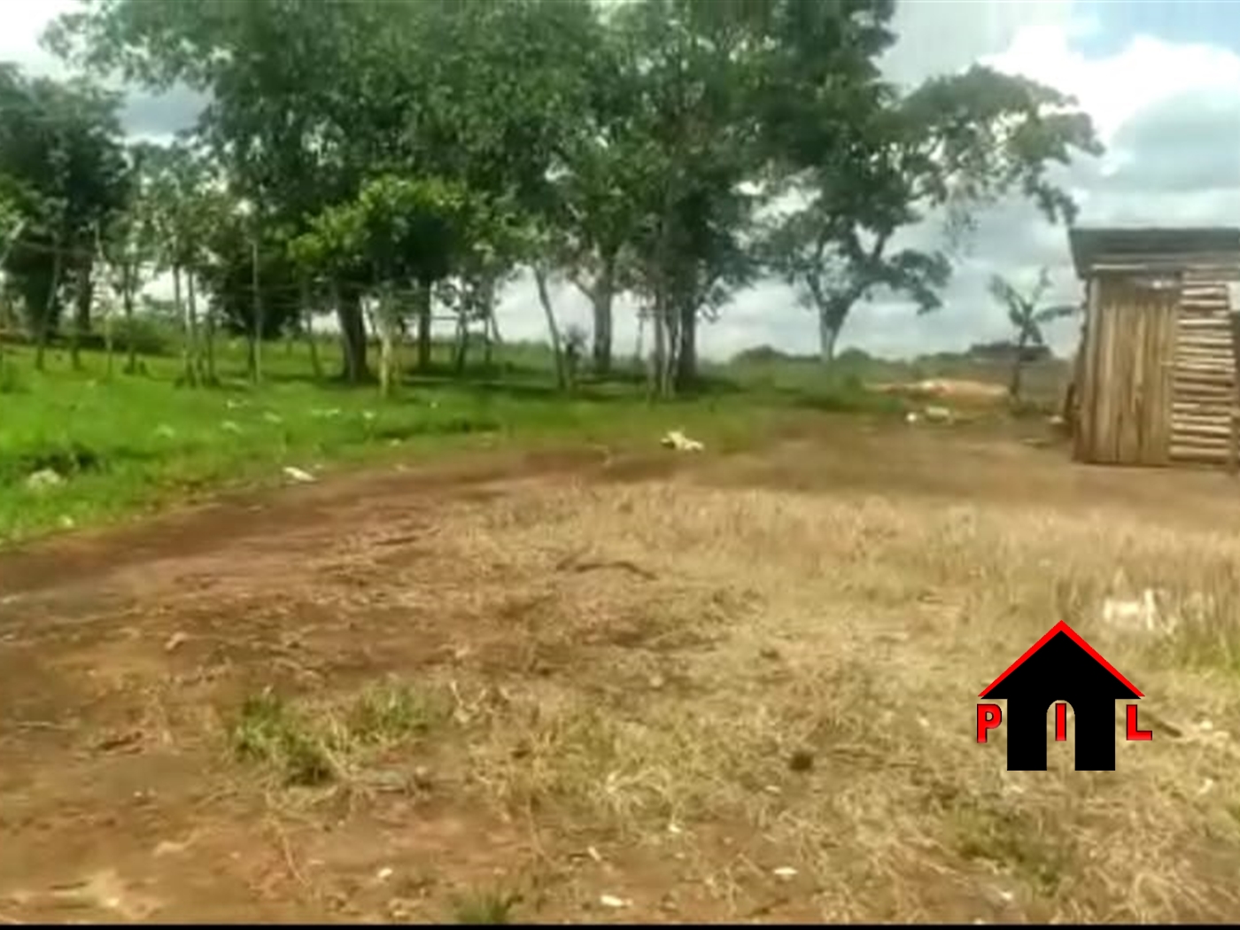 Agricultural Land for sale in Kalangaalo Mityana