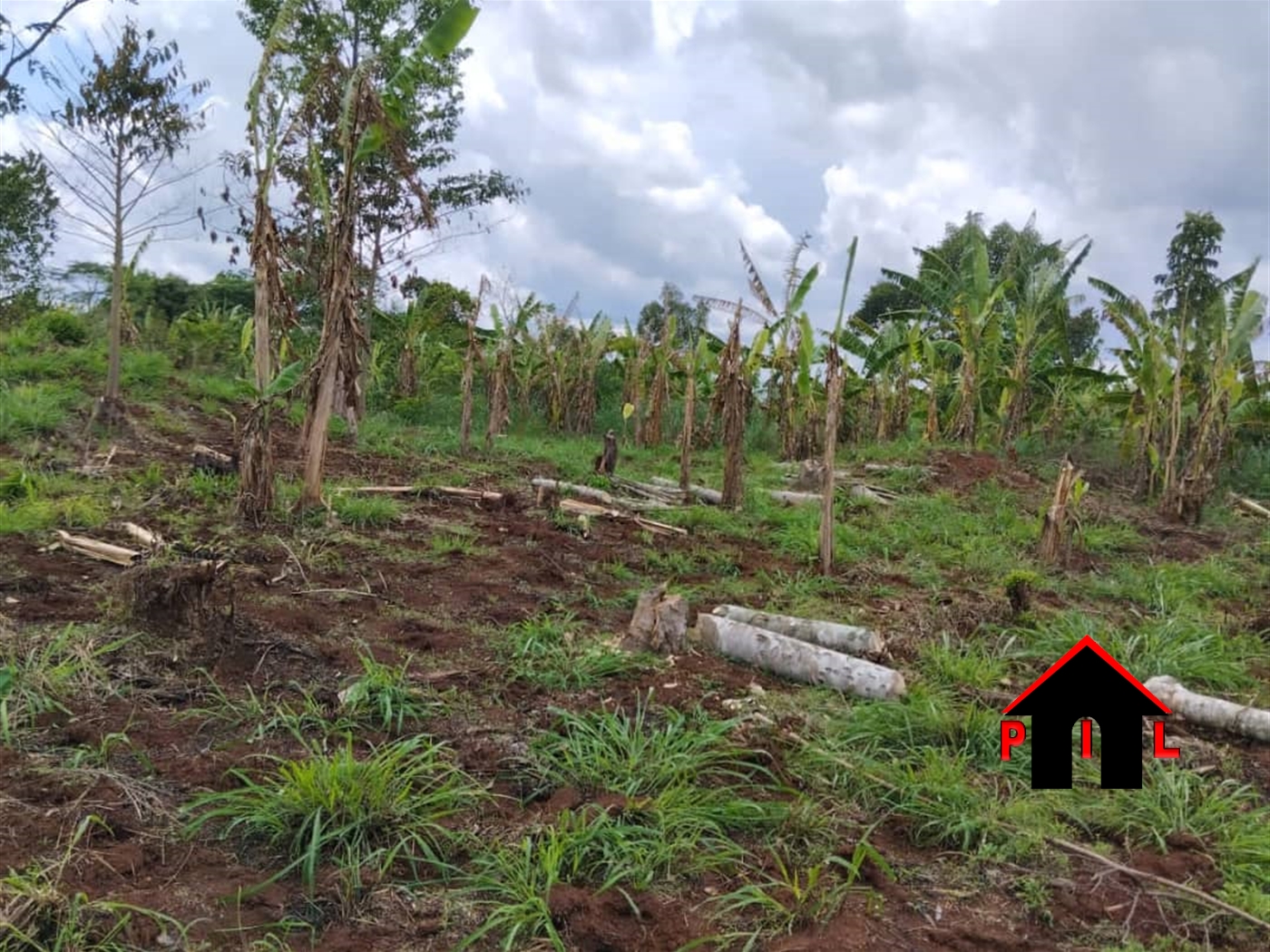 Agricultural Land for sale in Kapeeka Nakaseke